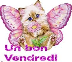 Bon Vendredi Petit Chat Pele Mele Sam250 Photos Club Doctissimo Bon Vendredi Petit Chat Pele Mele Sam250 Photos Club Doctissimo