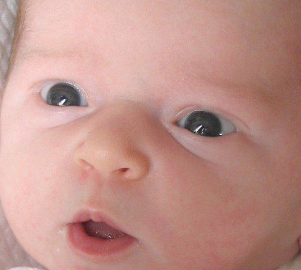 Yeux Gris Bleu A La Naissance Yuriga Yeux Gris Bleu A La Naissance Yuriga