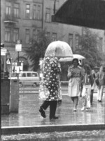 Des parapluies partout.