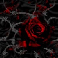 gothic_rose