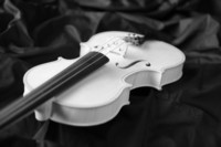 violon blanc