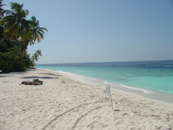 Maldives - Filitheyo plage