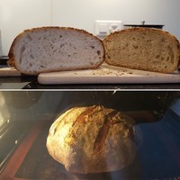 1er essai pain au levain maison