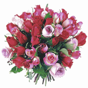Joyeux Anniversaire Lelette Et Louloute54 Diabete Forum Sante Joyeux Anniversaire Lelette Et Louloute54 Diabete Forum Sante