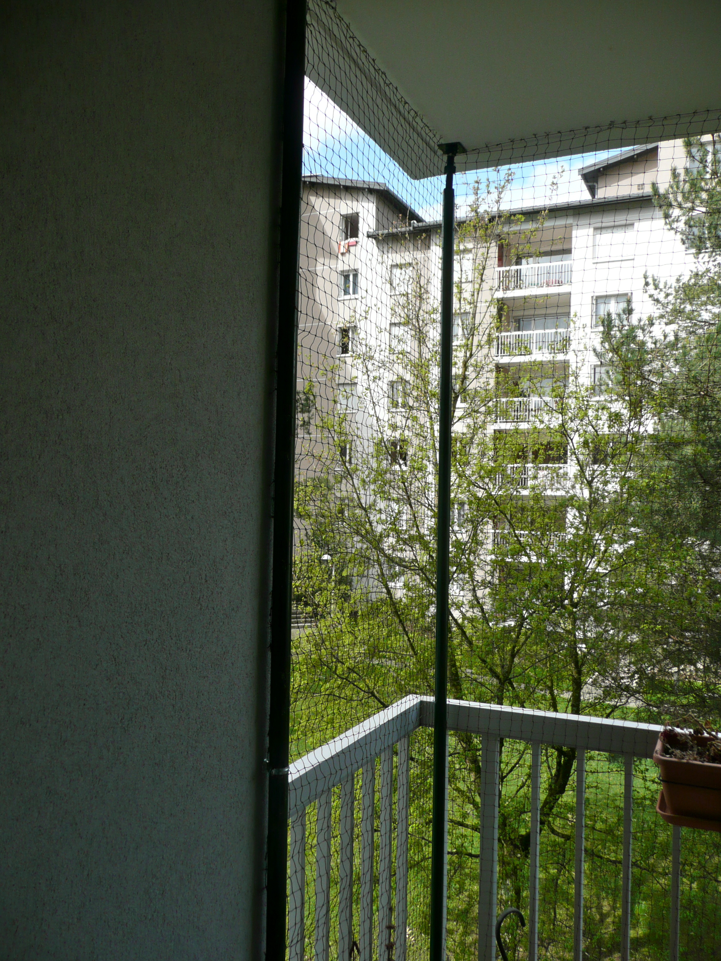 Protection Balcon Terrasse Fenetre Chats Forum Animaux Doctissimo Protection Balcon Terrasse Fenetre Chats Forum Animaux Doctissimo