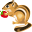écureuil-fraise
