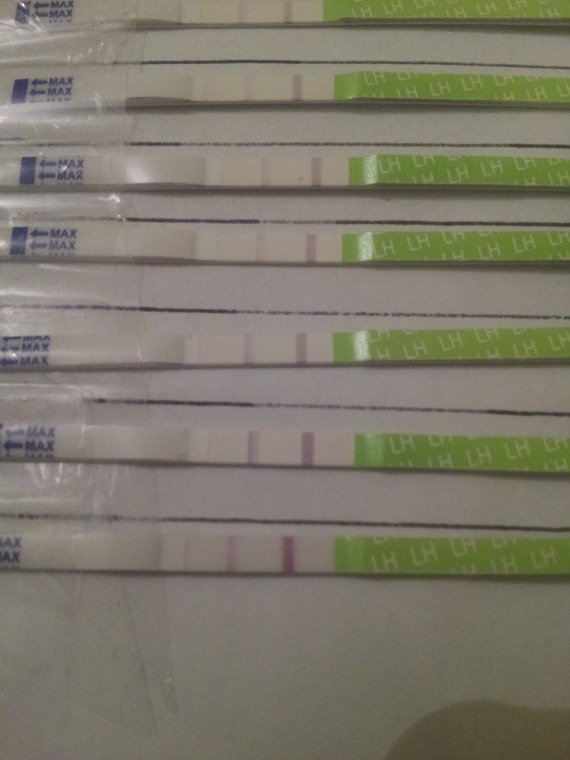 14 dpo et test d