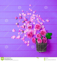 belles-fleurs-fraîches-de-ranunculus-sur-le-fond-en-bois-93976016