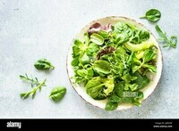 salade-verte-feuilles-de-salade-fraiches-et-legumes-dans-une-assiette-blanche-2j8029e