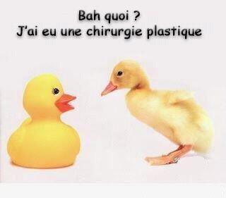 Canard Humour Angeduciel19 Photos Club Doctissimo