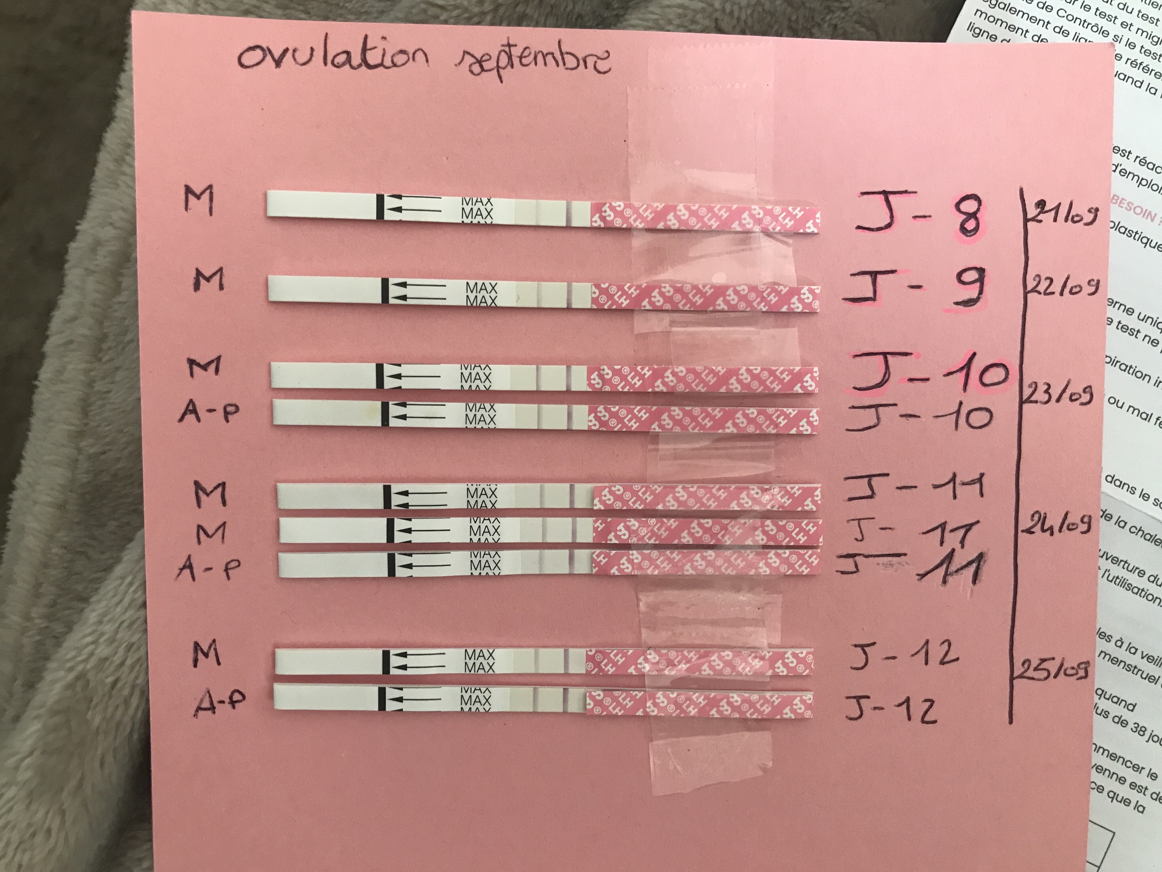 Nouvelle pour avis test ovulation - Courbe de température ...