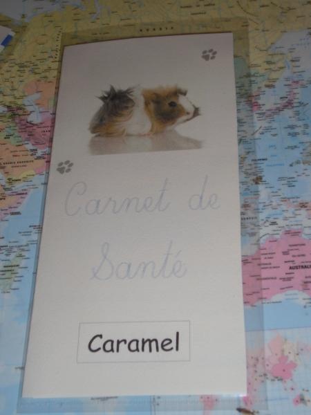 Carnet De Sante J Ai Fini Hamsters Cochons D Inde Lapins Forum Animaux Doctissimo