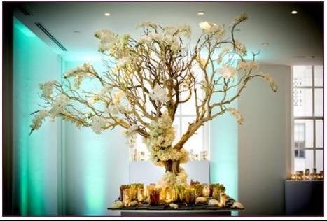 Idee Deco Arbre Mariage Img Salle Et Deco Patoo5mai Photos