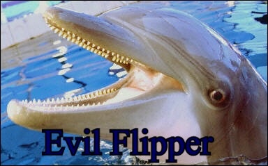 evil_dolphin
