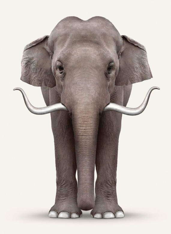 elephant-dali