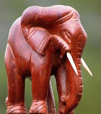 elephant-de-marabadiassa-republique-de-cote-d-ivoire