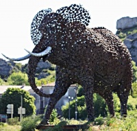 Elephant-du-Caylar
