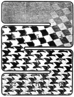 Maurits+Cornelis+Escher+-+mouch+