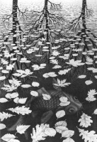 Maurits+Cornelis+Escher+-+Three+Worlds+