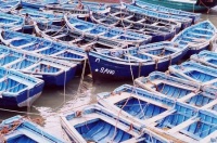 barque-divers-barques-port-essaouira-