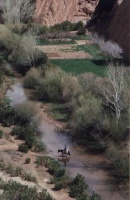 riviere-deserts-desert-sud-ouarzazate-