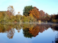 automne ,  étang neuf  , dontreix ,Creuse