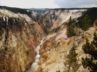 et-au-milieu-coule-une-riviere, Yellowstone river , dans le wyoming