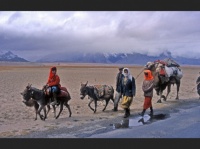 nomades-tadjiks au Xinjiiang