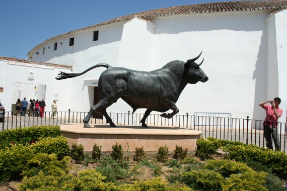 Bull,_Ronda