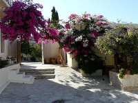 Crete, Les bougainvillés du Monastère d'Odiyitria