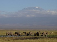 Kilimanjaro 02
