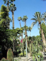 jardin Majorelle