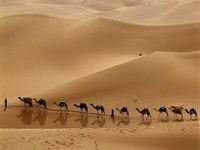 désert libyen