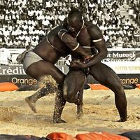 Senegalese Wrestlers