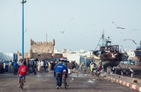 – à Essaouira, Morocco. - .