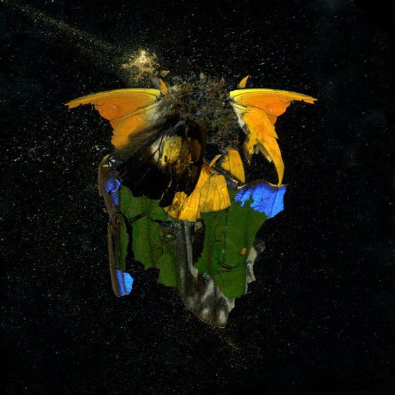 Mat_Collishaw_Insecticide_14_94