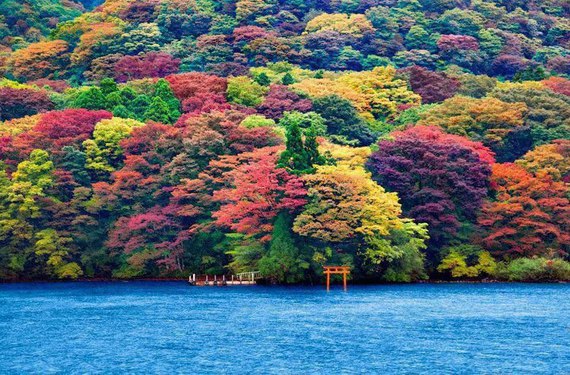Lac Ashinoko, Japon