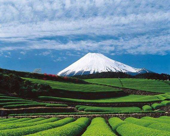 Mount Fuji, Japan (02)