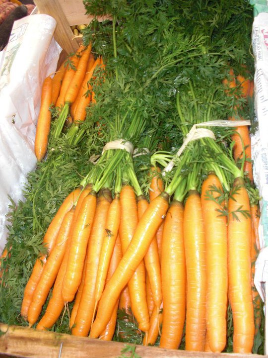 carottes fanes