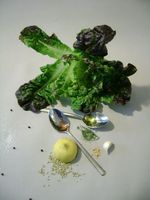 irving-penn-salad-0 (2)