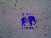 Marseille ni cage