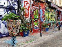 street-art-Denoyez-pot-fleur-8806