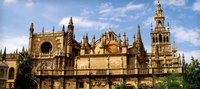 seville-spain-international-business-and-culture-study-abroad-146