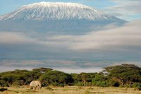 Kilimanjaro (002)