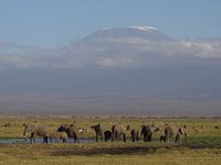 Kilimanjaro 02