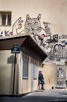 Restes de fresque de Zoo Project en 2014, rue du Terrage