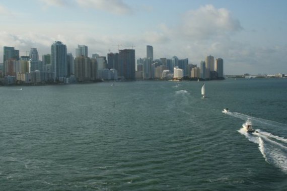 Miami_Skyline_(6)