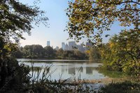 the lake in central park