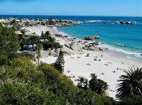 Clifton beach, Cape town, South africa
