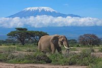 Mount Kilimandjaro, Tanzania